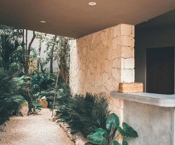 Vida Boho 6 With Special Fee To Access Bardo * Tulum